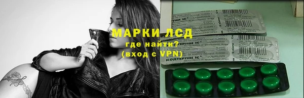 стафф Арсеньев