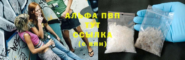 стафф Арсеньев