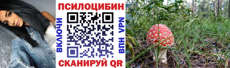 Псилоцибиновые грибы Cubensis  как найти закладки  Починок 